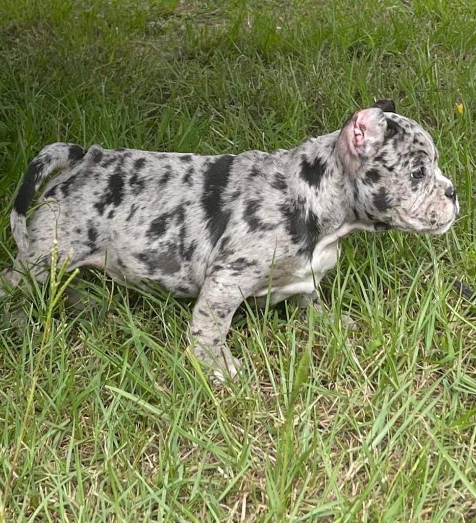 WhatsApp Image 2025-10-10 at 11.23.00_4cde1155