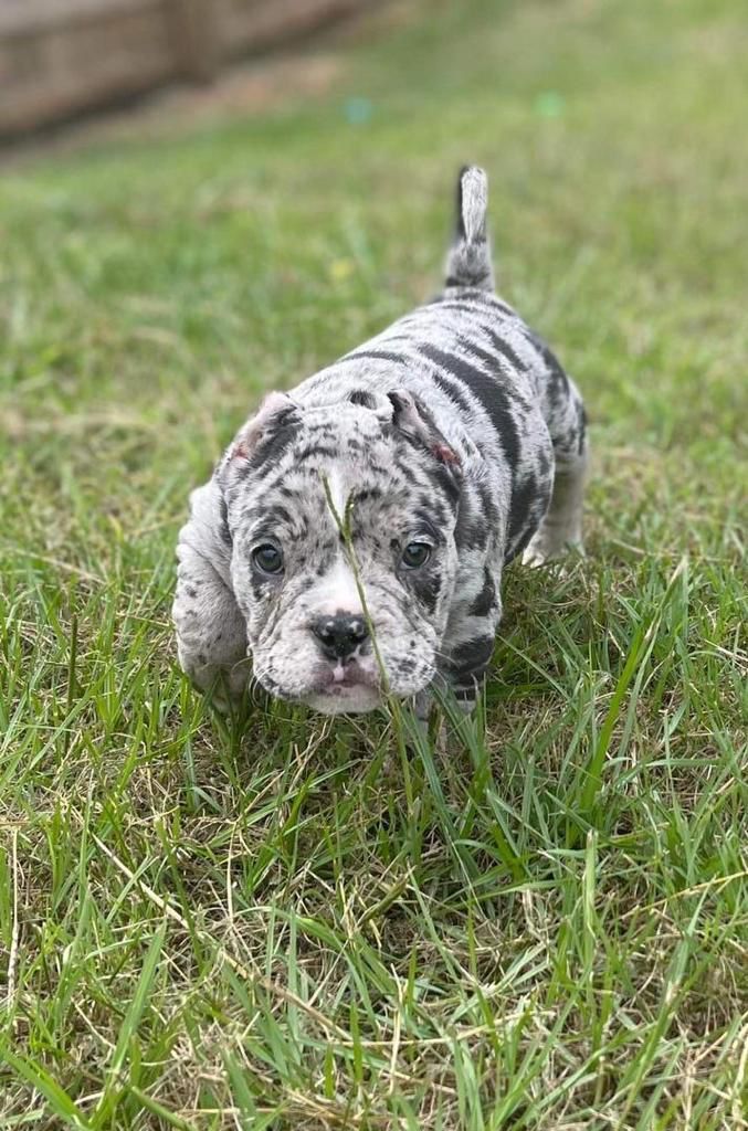 WhatsApp Image 2025-10-10 at 11.23.00_9d55da17