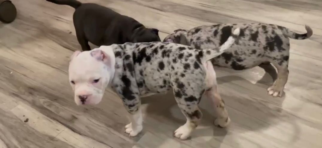 WhatsApp Image 2025-10-10 at 11.27.54_454735b2