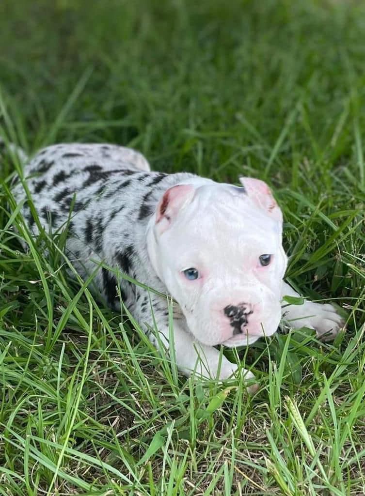 WhatsApp Image 2025-10-10 at 11.27.54_e26b6744